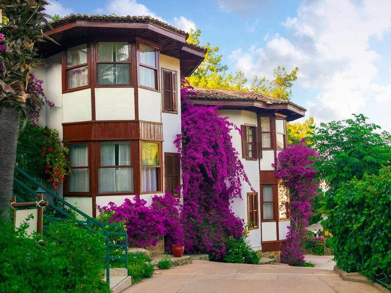 Club & Hotel Letoonia