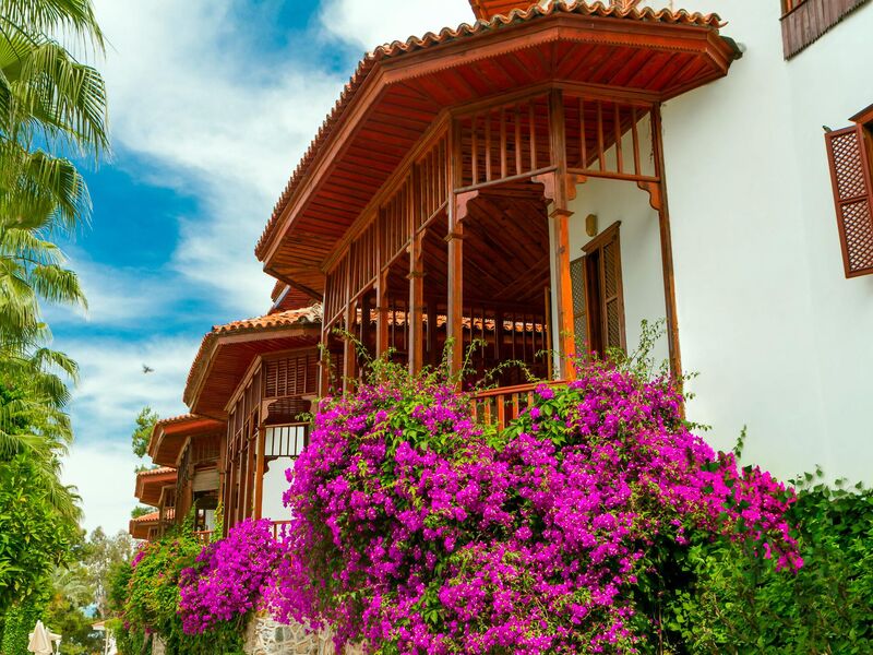 Club & Hotel Letoonia