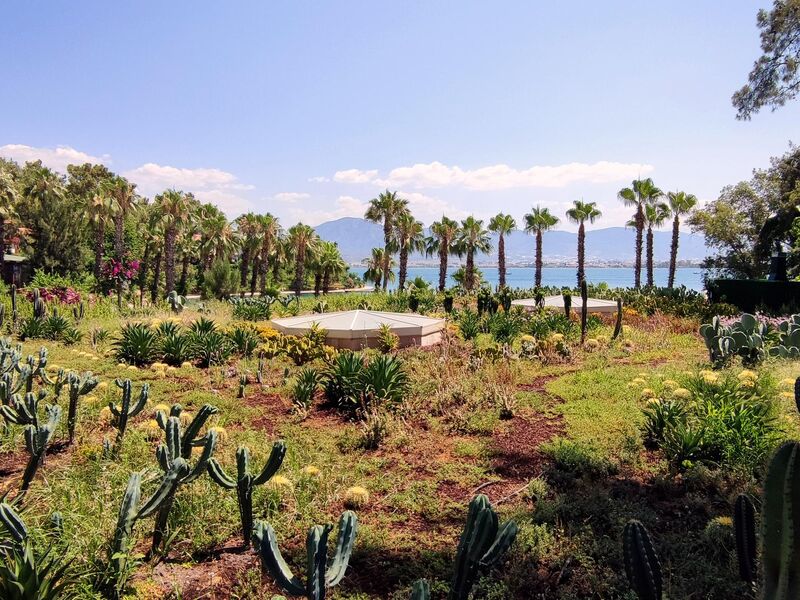 Club & Hotel Letoonia