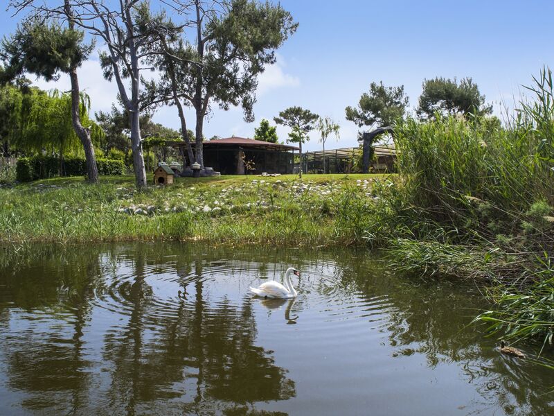 Hilton Dalaman Sarigerme Resort & Spa