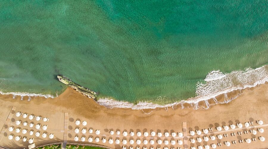 Elexus Hotel Resort Casino