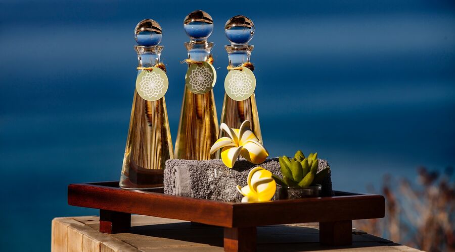 Elexus Hotel Resort Casino